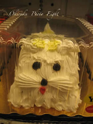 a-cakeinu09-6.jpg