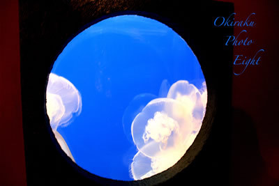 a-SFaqu09-11.jpg