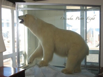 a-barrowyado8.jpg