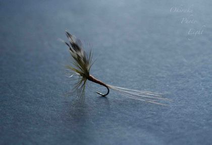 a-flyfishing6.jpg