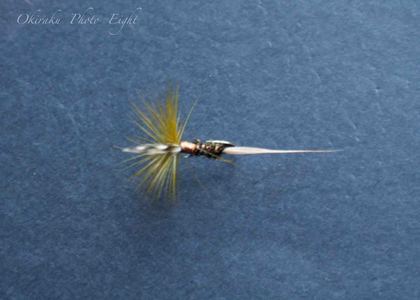 a-flyfishing9.jpg