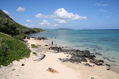 a-hawaibi-ti7.jpg