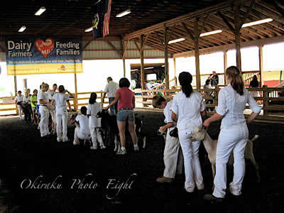 a-nfare09-2.jpg