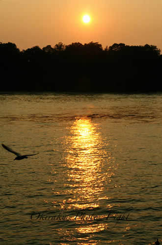 a-niar09-5.jpg