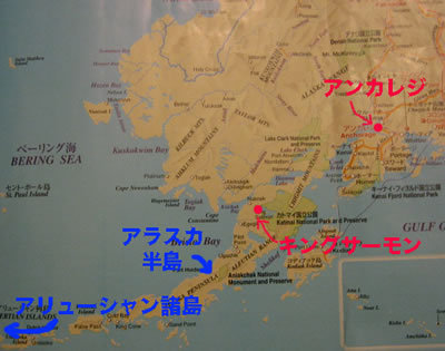 a-pen25.jpg