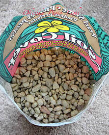 a-uekae09-2.jpg