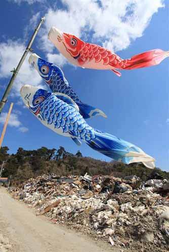 hisaitikoinobori2011.jpg