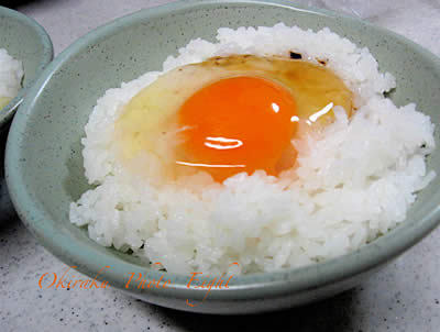 j-gohan09-2.jpg
