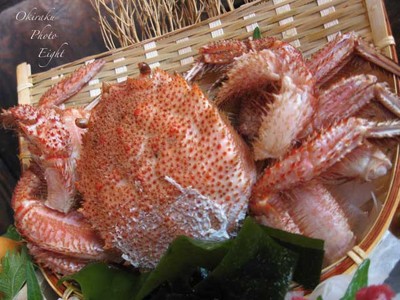 j-kappoiizakaya14.jpg