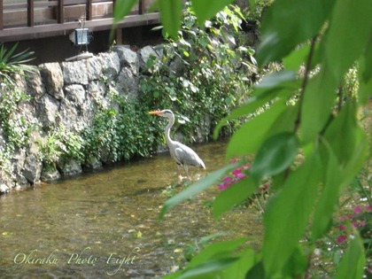 j-kyoutosirakawa2.jpg
