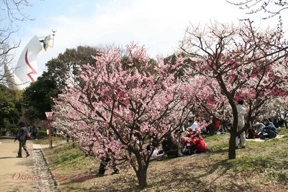 j-umebayasi4.jpg