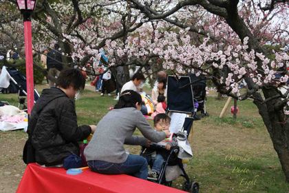 j-umeohanami3.jpg